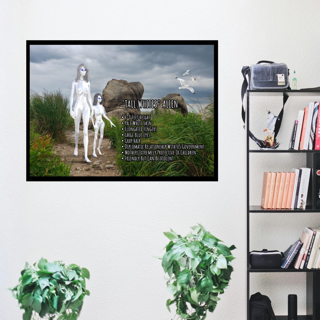Tall White Aliens Poster, UFO Decor Gothic Wall Art, Space Alien Cryptozoology Informational Poster, Area 51 UFO Lover Gift - Image 4