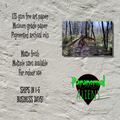 Jersey Devil Dark Art Print, Goth Wall Art, Dark Landscape, Gift For Dad, Cryptozoology Informational Poster, Landscape Poster - Image 5