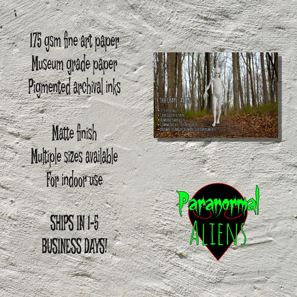 Gray Alien Poster, Scary Art Print, UFO Lover gift, Cryptid Cryptozoology Informational Poster, Gothic Wall Art, Area 51 Alien - Image 5