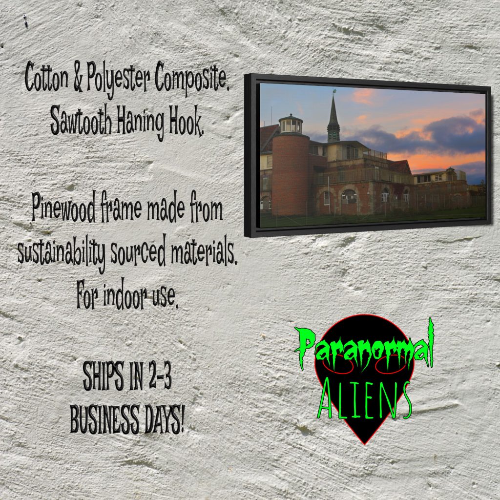 Haunted New England Seaside Sanatorium Framed Canvas, Creepy Horror Art, Goth Decor, Gift For Horror, Scary Building Art - Image 5