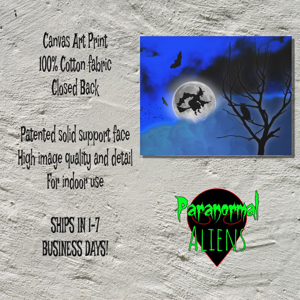 Halloween Canvas Wall Art, Full Moon and Witch, Creepy Wall Decor, Unique Goth Gift, Halloween Home Aesthetic - Image 5