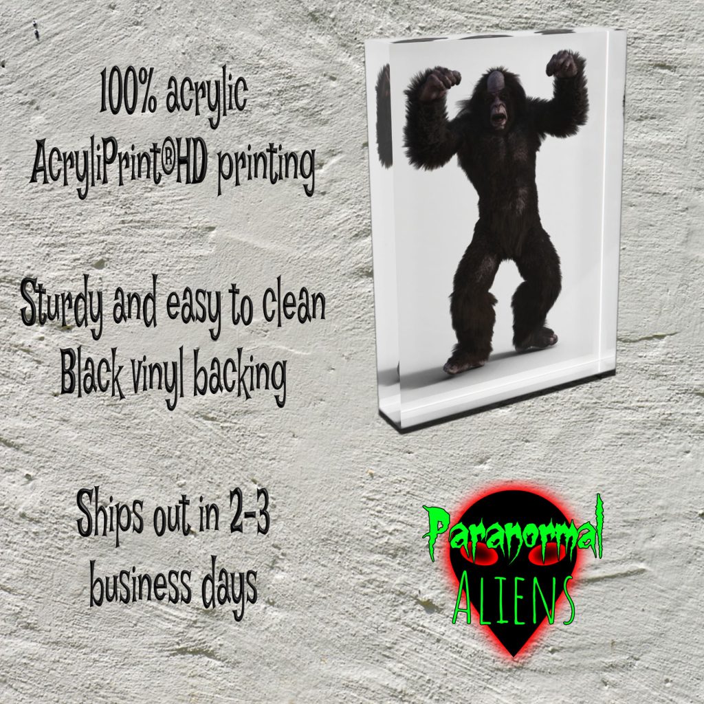 Bigfoot Acrylic Art Display Block, Spooky Gift, Sculpture for Horror Decor, Spooky Gift, Bigfoot Collectible - Image 4
