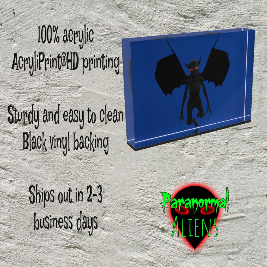 Mothman Acrylic Art Display Block, Sculpture, Horror Gift, Unique Art for Collectors - Image 4