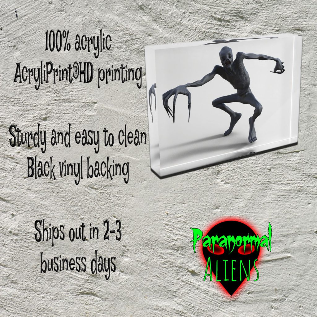 The Rake Monster Acrylic Art Display Block, Unique Horror Gift, The Rake Art & Sculpture - Image 4