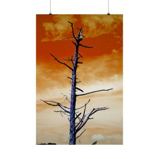 Fiery Winter Sky Gothic Poster