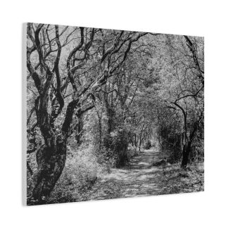 Creepy Black and White Dirt Road Canvas Wall Art