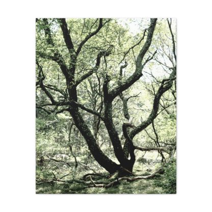 Gothic Curvy Tree Art Canvas Print, Spooky Decor, Horror Lover Gift, Goth Decor, Creepy Landscape Canvas Wall Art - Image 5