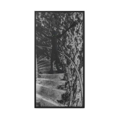Monster Climbing Up Stairs Framed