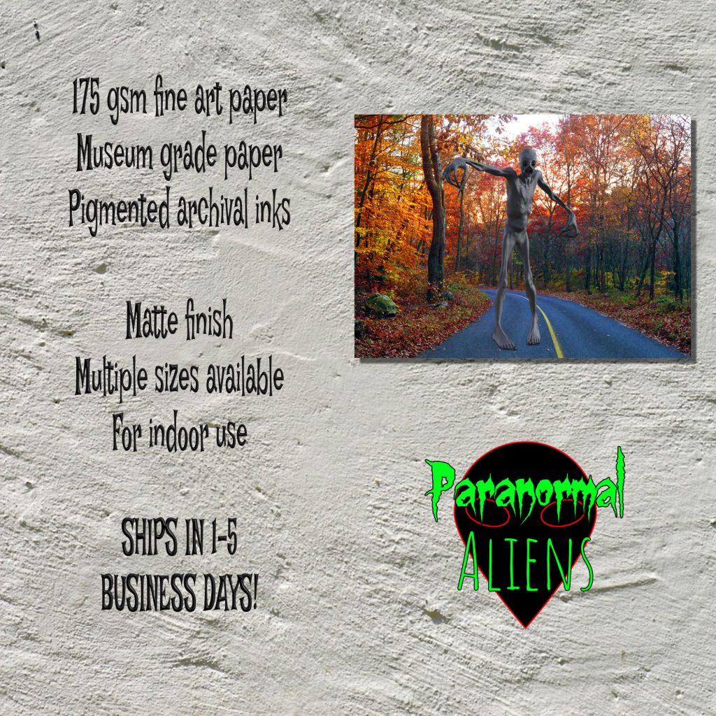 Mysterious Rake Creature Horror Poster, Autumn Fall Landscape Print, Goth Gift For Horror Lovers, Scary Monster Art, Dark And Moody Landscape - Image 5