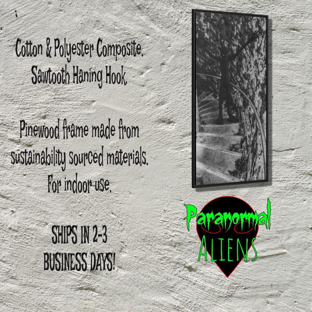 Black And White Gothic Monster Framed Canvas Art, Horror Goth Decor, Halloween Monster Canvas Wall Print - Image 5