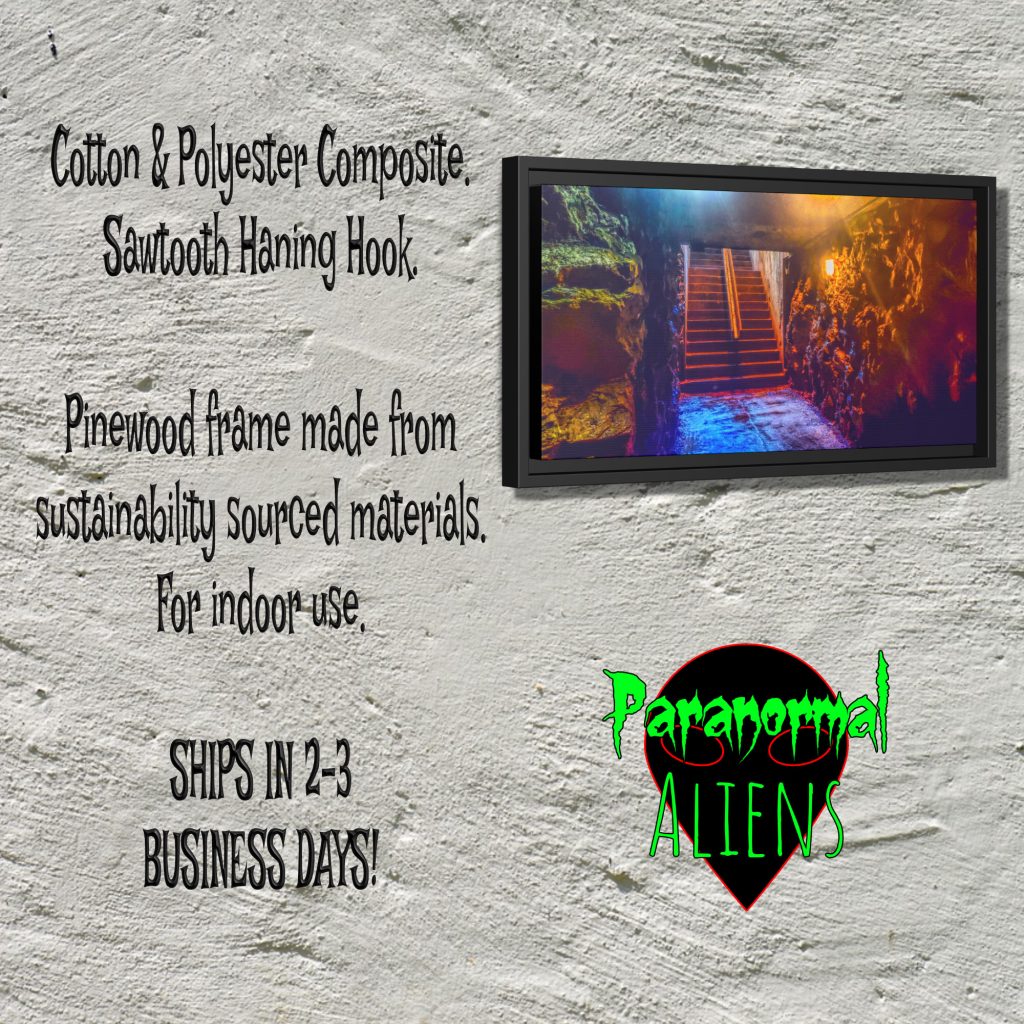 Gothic Underground Stairs Framed Canvas Art, Goth Gift, Horror Decor, Creepy Canvas Art Print, Dark Arts Decor - Image 5