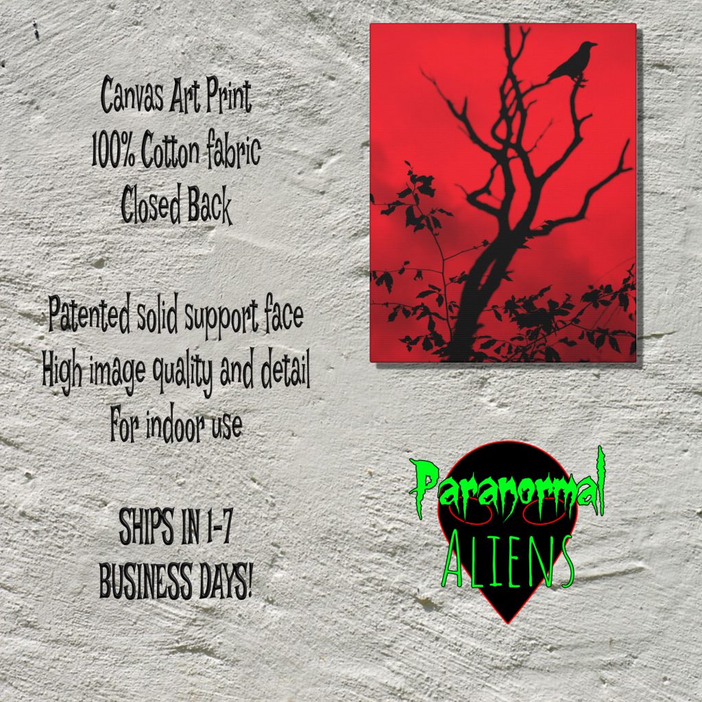 Gothic Crow Red Sky Canvas Wall Art, Horror Gift, Creepy Dark Landscape Canvas Wall Print, Gothic Horror Decor - Image 5