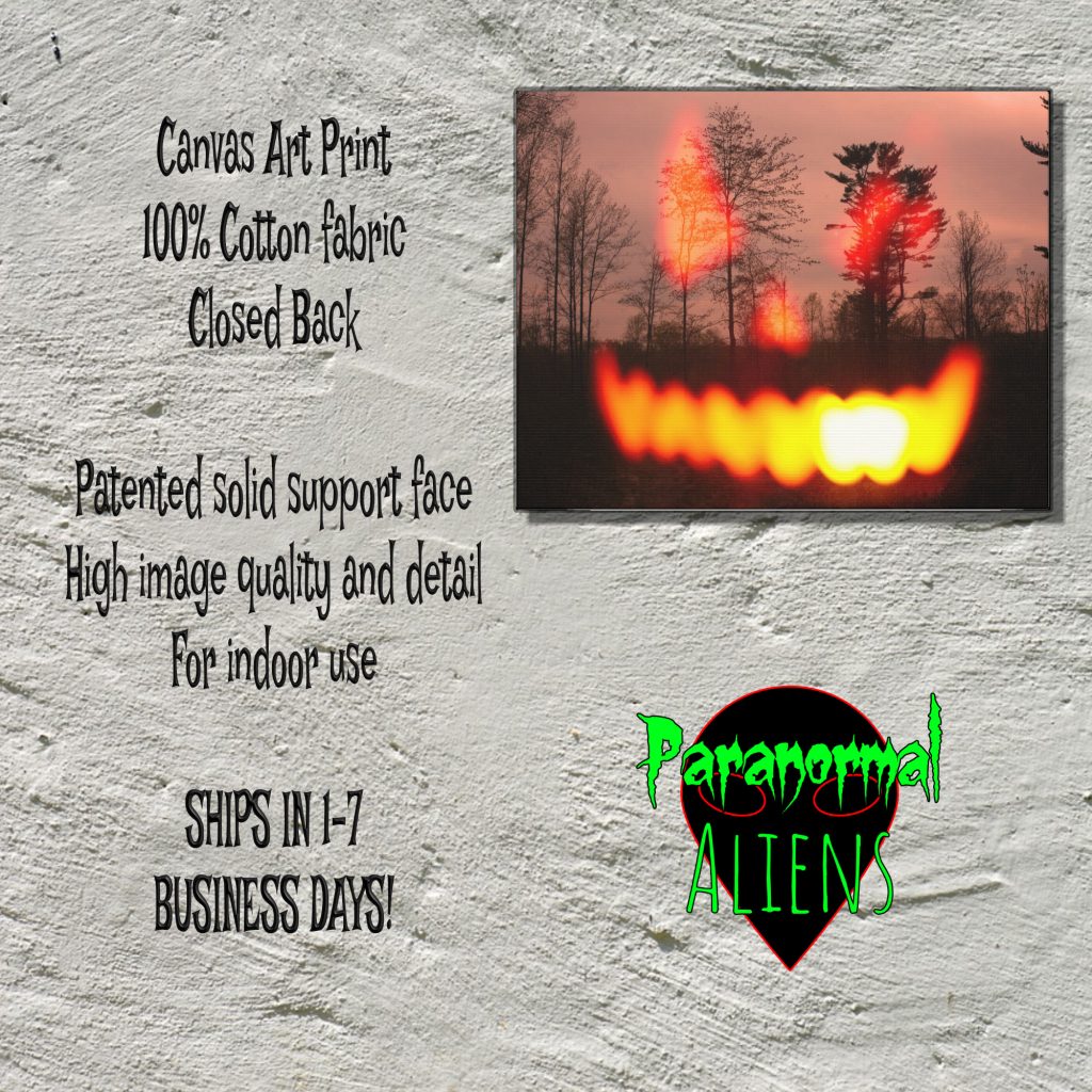 Jack O Lantern Dark Landscape Canvas Print, Goth Gift For Halloween, Horror Decor, Dark Forest Gothic Canvas Wall Art - Image 5