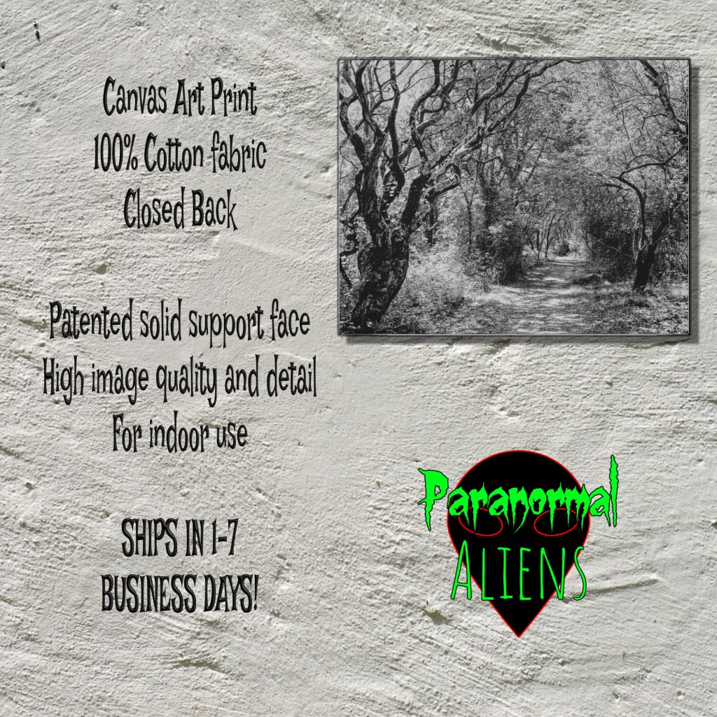 Black And White Dark Landscape Canvas Wall Art, Horror Gift, Creepy Haunted Forest Canvas Wall Print, Goth Decor - Image 5