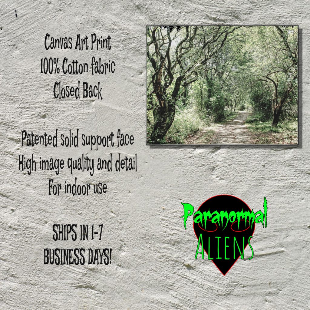 Creepy Dirt Road Haunted Forest Canvas Print, Scary Dark Landscape, Gothic Decor, Dark Woods Horror Canvas Art - Image 5