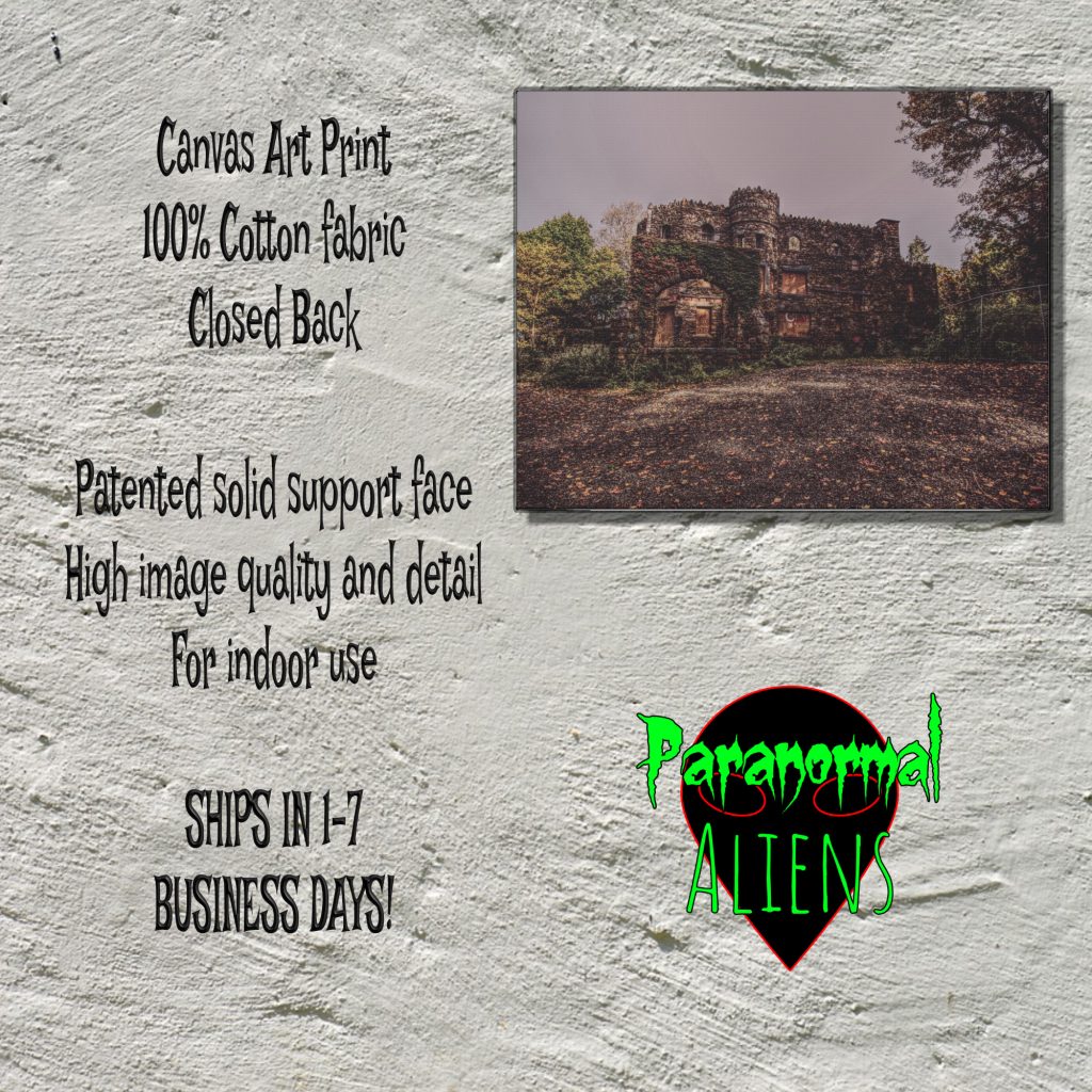 Condemned Abandoned Castle Canvas Art, Creepy Horror Decor, Gothic Castle Canvas Wall Print, Gloomy Dark Landscape - Image 5