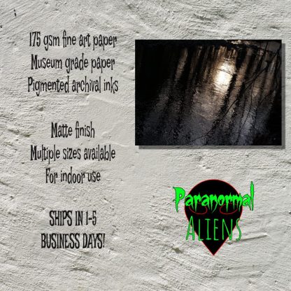 Creepy Landscape Print, Living Room Art, Water Ripples, Gothic Wall Art, Dark Landscape, Horror Gift, Waterscape - Image 5