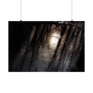 Dark, reflective water with sunlight glinting through tall trees, casting elongated shadows. Branches reflected on water surface frame the moody, serene scene.