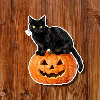 Black cat perched on a carved jack-o’-lantern, posed against rustic wood planks; playful Halloween sticker design with a spooky, cheerful mood.