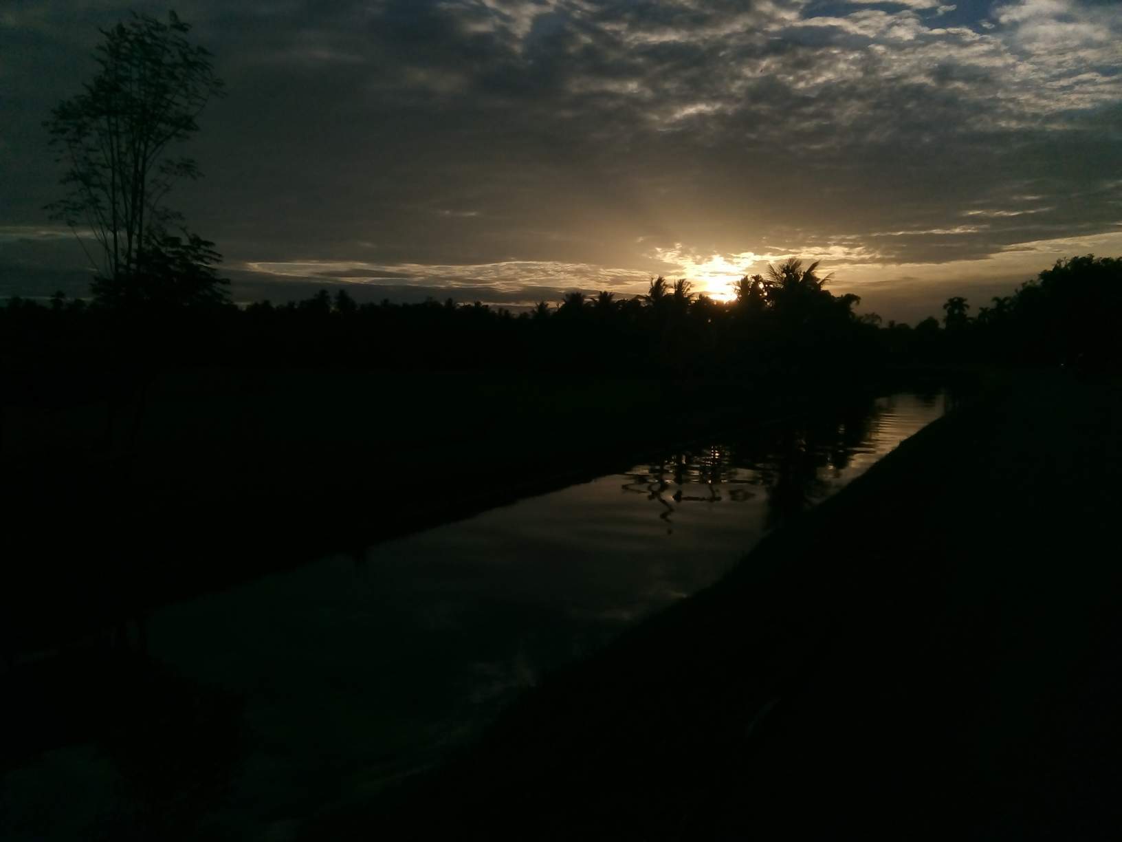 https://s3.us-east-2.amazonaws.com/partiko.io/img/abruni-the-beauty-of-invaluable-of-nature-1531925469782.png