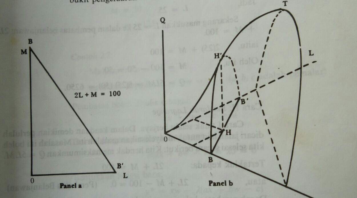 https://s3.us-east-2.amazonaws.com/partiko.io/img/aiyub99-partiko--lesson-10--budget-line-1530870845851.png