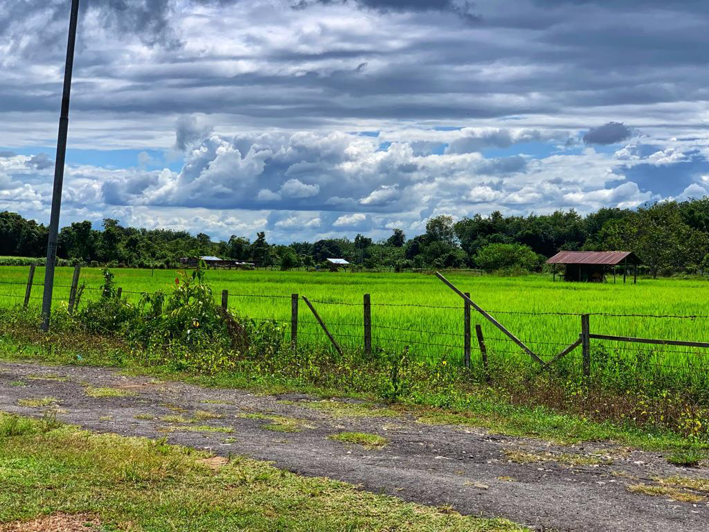 https://s3.us-east-2.amazonaws.com/partiko.io/img/blackwoodborneo-when-tranquility-hits-owbljaqt-1544094405015.png