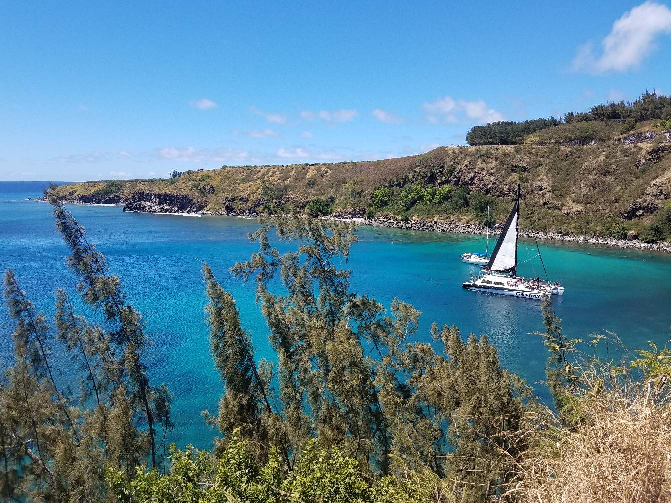 https://s3.us-east-2.amazonaws.com/partiko.io/img/happymoneyman-pirate-cove-1529611915692.png