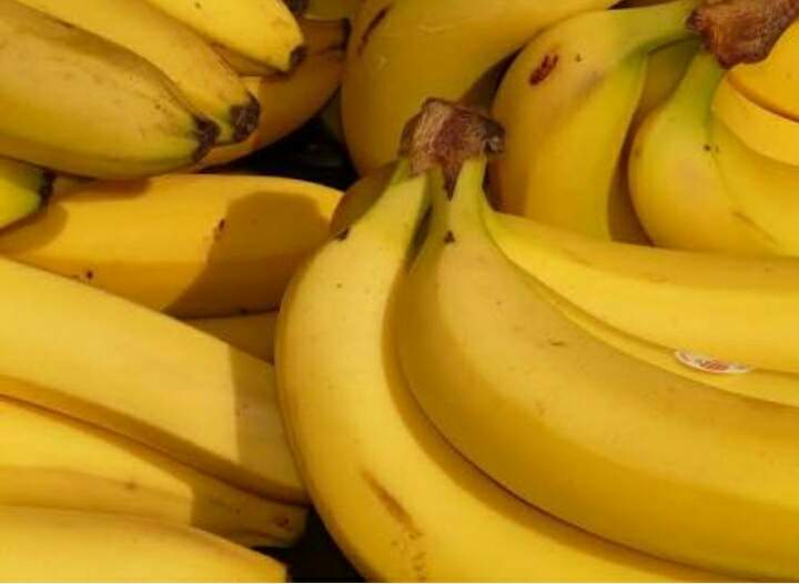 https://s3.us-east-2.amazonaws.com/partiko.io/img/monaji-banana-programxixvbmle-1534513959231.png