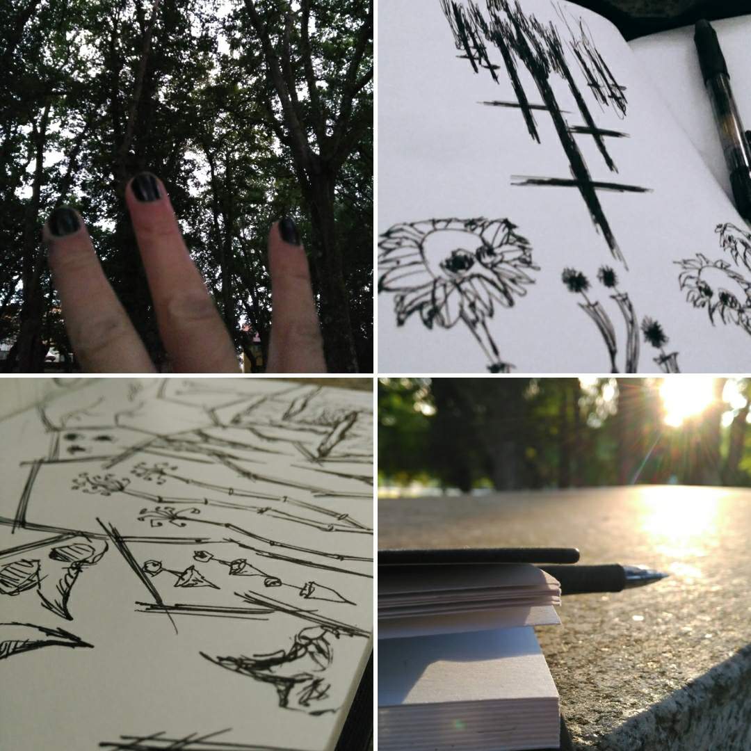 https://s3.us-east-2.amazonaws.com/partiko.io/img/sketch17-ayer-1534168422538.png