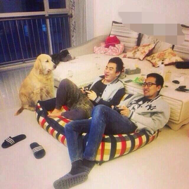https://s3.us-east-2.amazonaws.com/partiko.io/img/sonia1105-i-must-say-the-doghouse-is-greatcomfortablegood-qualityand-the-most-important-is-it-is-big-enough-for-two-of-us-sitting-in-and-having-fun-x5uejalv-1541350622089.png