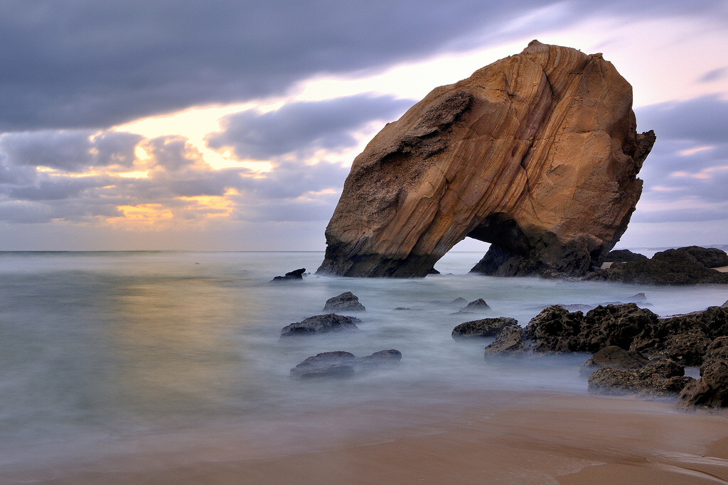 每天一首自译《飞鸟集》259-260