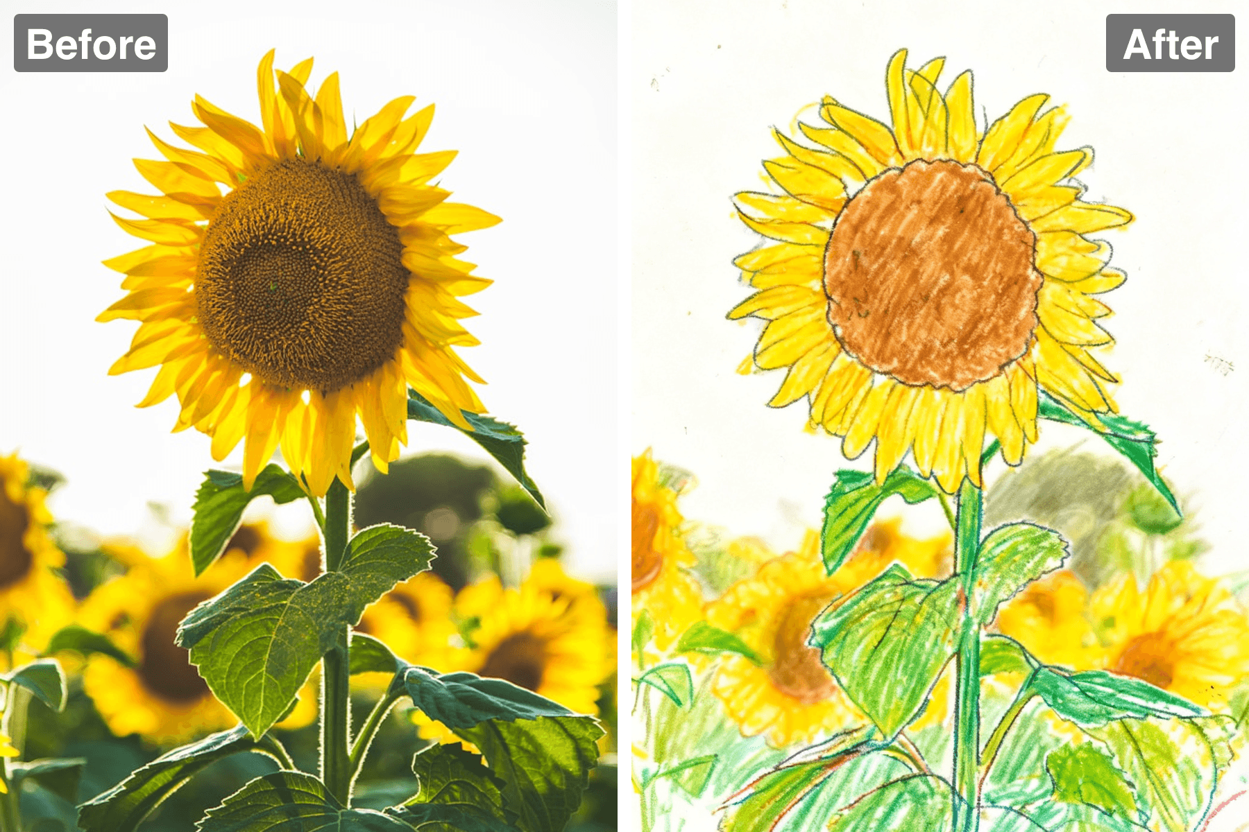 Patternful AI - Share the Whimsy image