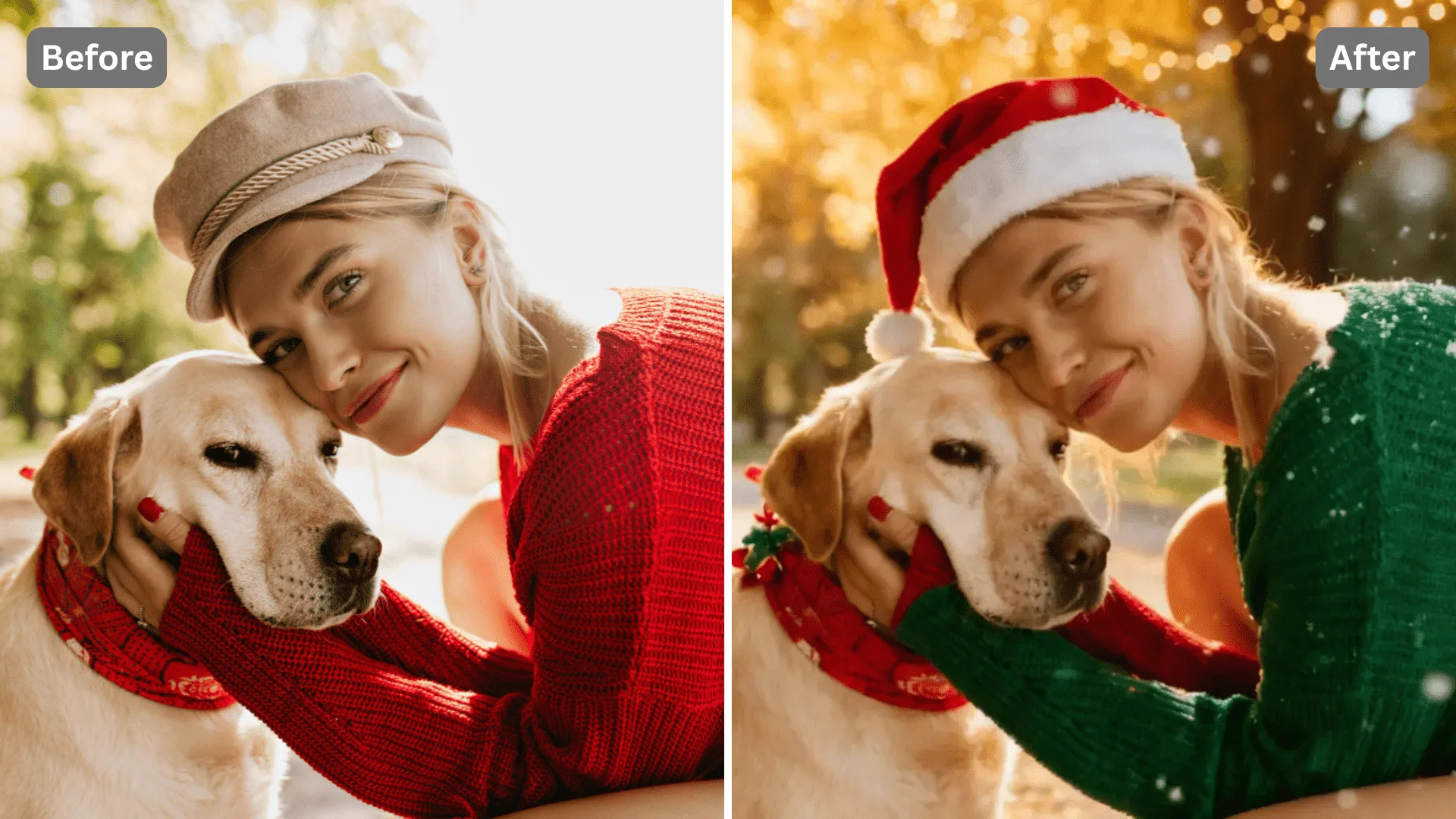Patternful AI - Create Stunning Christmas-Inspired Art image