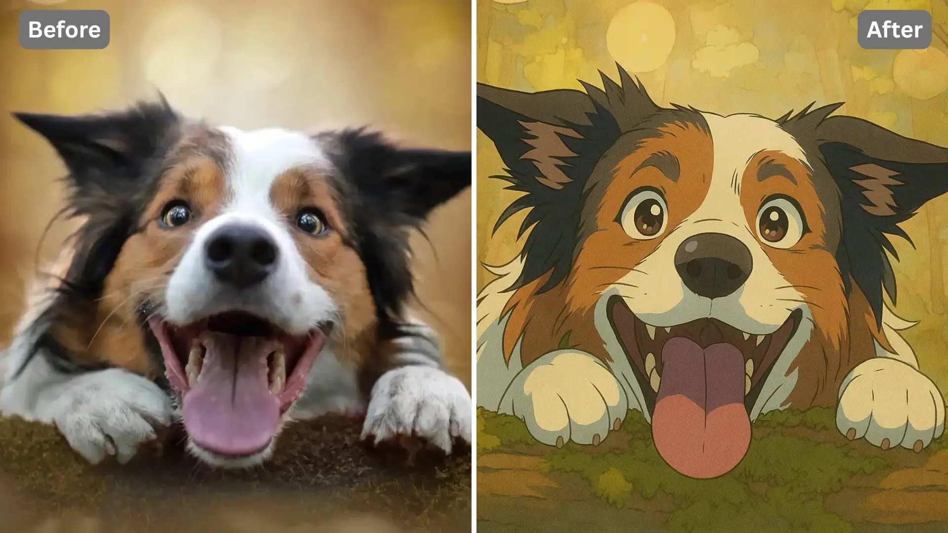 Patternful AI - Give Your Pets and Landscape Photos a Ghibli Glow image