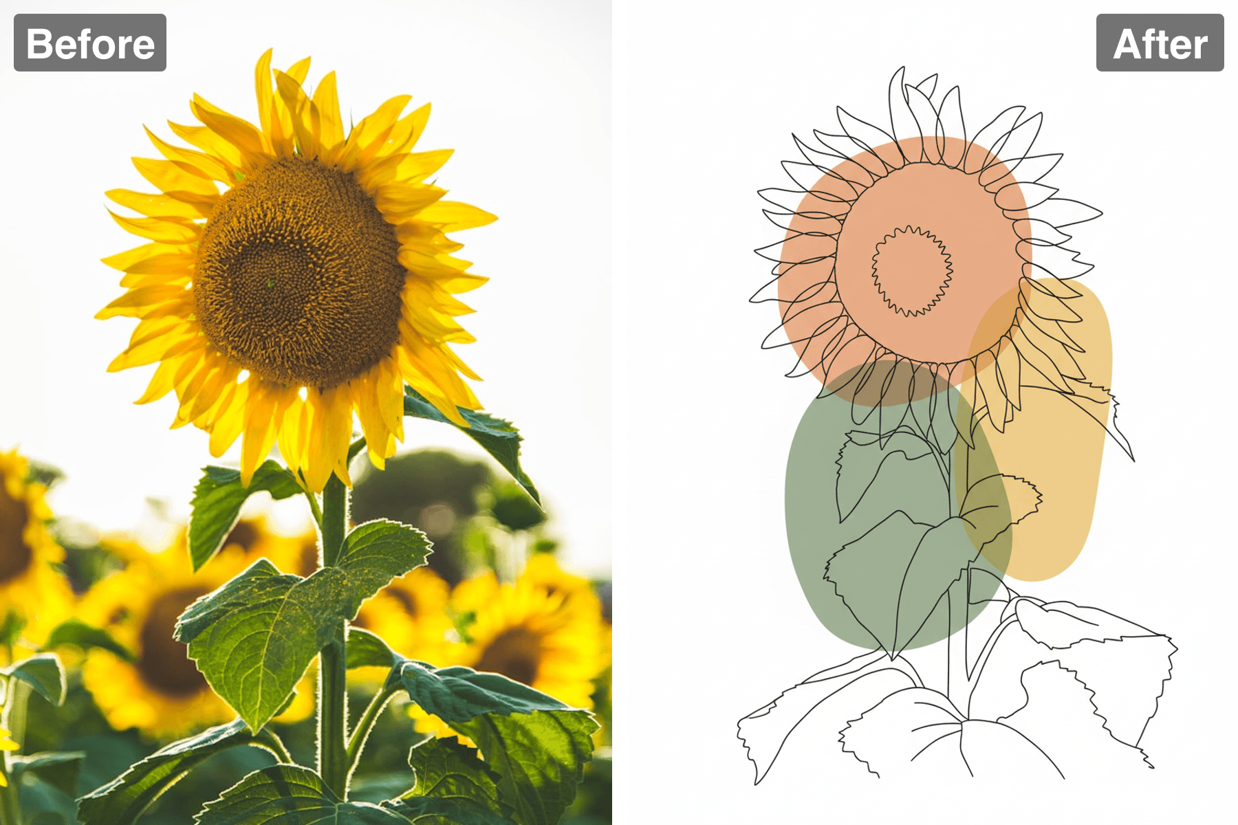 Patternful AI - Share Stunning Line Art on Social Media image