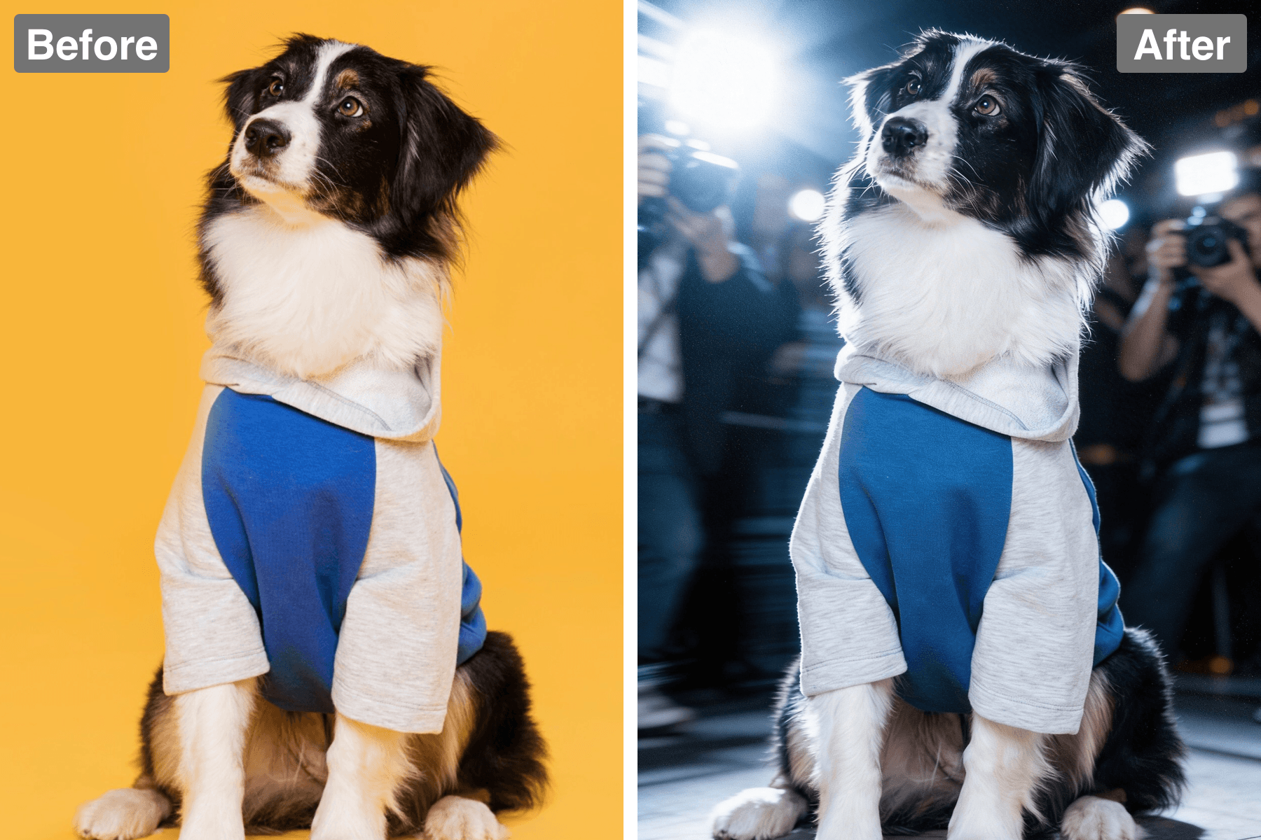 Patternful AI - Create Stunning Paparazzi-Style Photography image