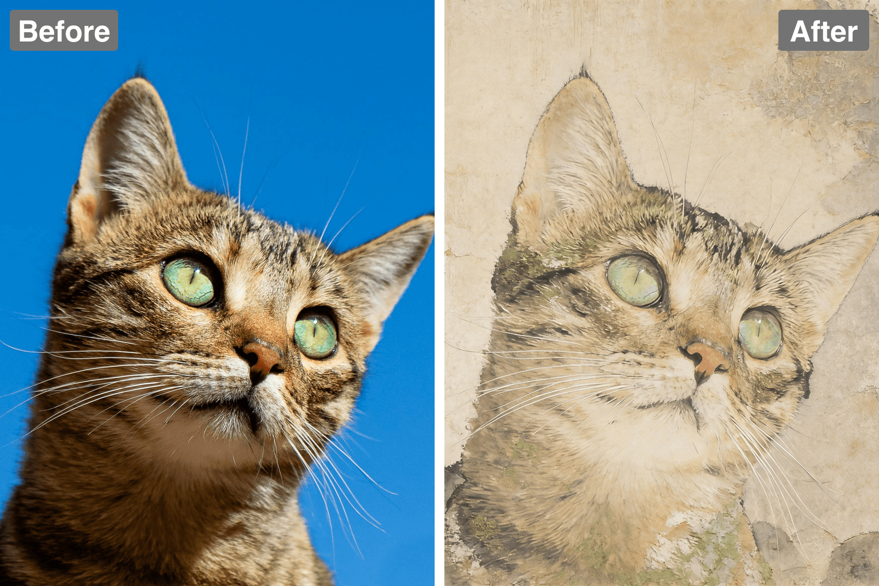 Patternful AI - Create Stunning Wabi-Sabi-Inspired Art image