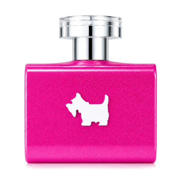 FERRIONI PINK TERRIER EDT 100 ML