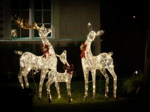 Holiday Lights That Impress Every Guest