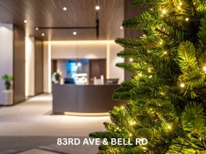 How does professional lighting help create beautiful spaces?