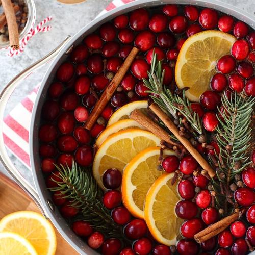 20 Simmer Pot Recipes for Every Season - Christmas simmer pot with cranberries, citrus, cinnamon and evergreen