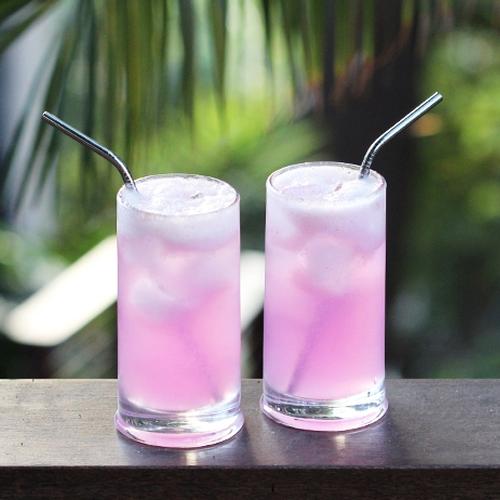 Pink Dragon Fruit Soda | Punchfork