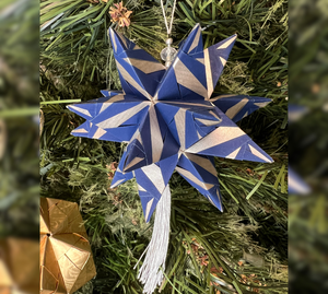 Navy and silver tigre