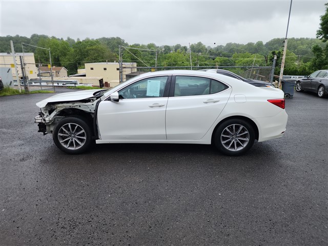 2019 Acura TLX Technology Package's photo