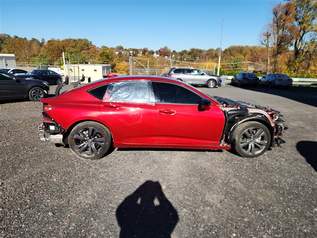2022 Acura TLX A-SPEC Package's photo