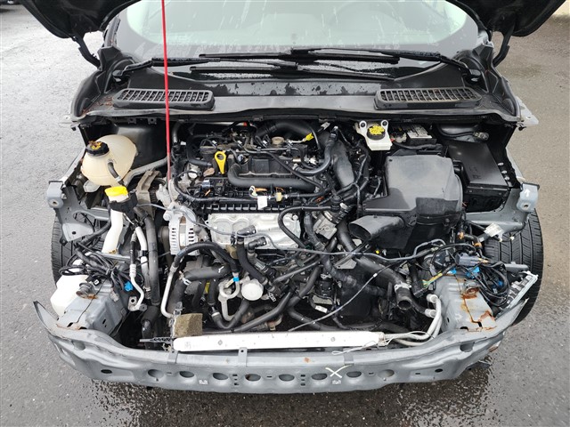 2019 Ford Escape SE - Photo 19