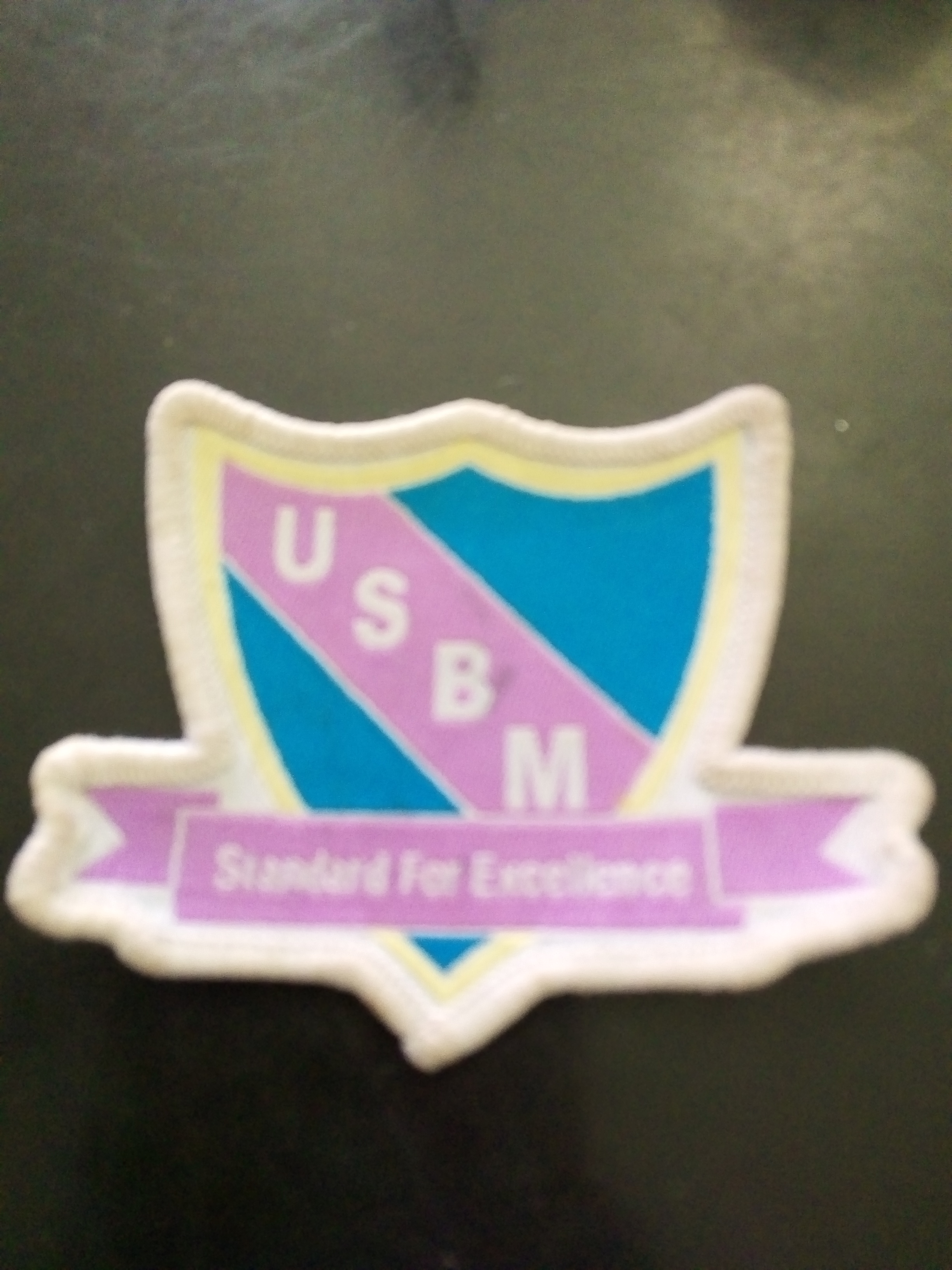 Unique Standard bearers Character and excellence