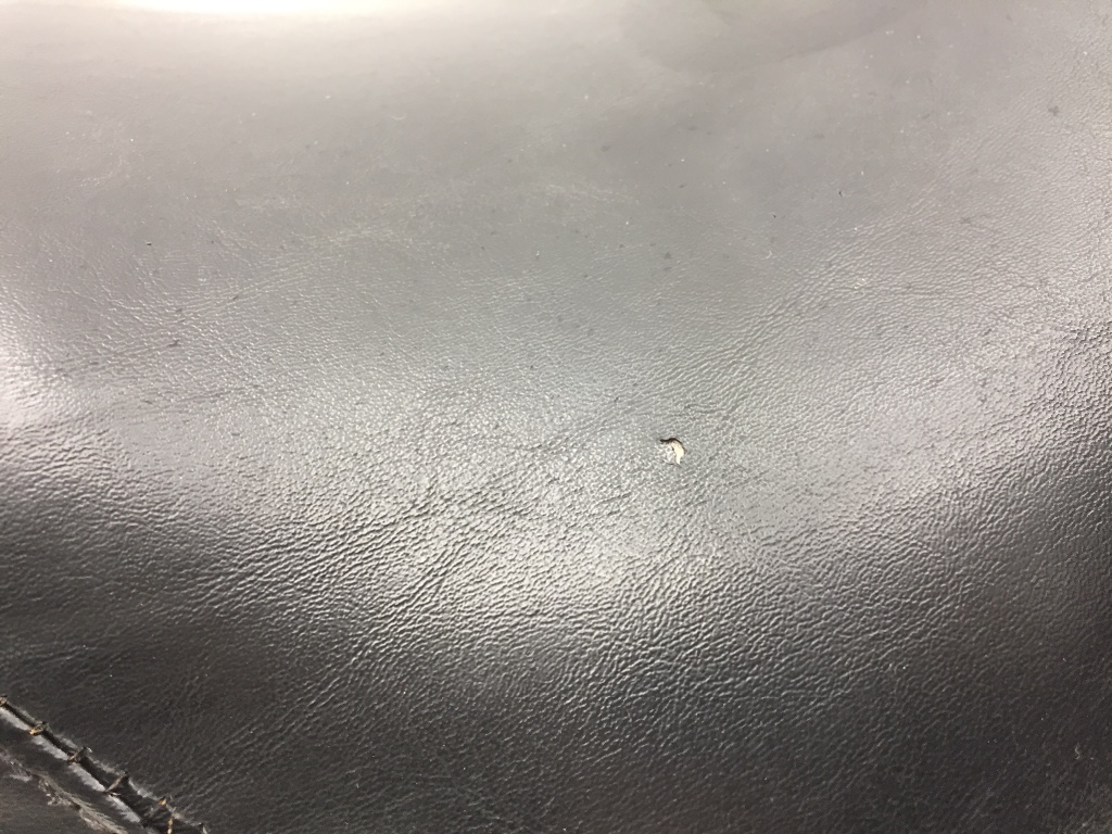 Seat 2003 Harley-Davidson Sportster 883 Hugger Anniversary XLH883 3236 x