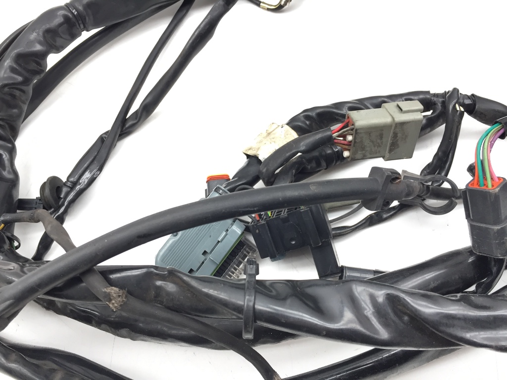 Main Engine Wiring Harness 2005 Harley Electra Ultra Classic EFI FLHTCUI 3219