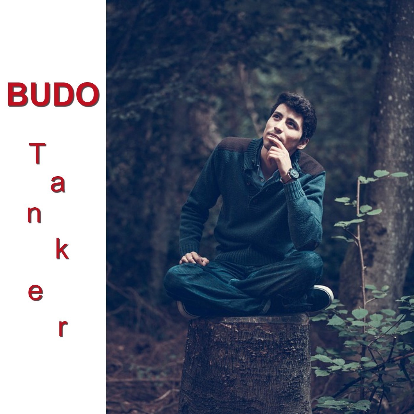 BUDO Tanker af Michael Iversen